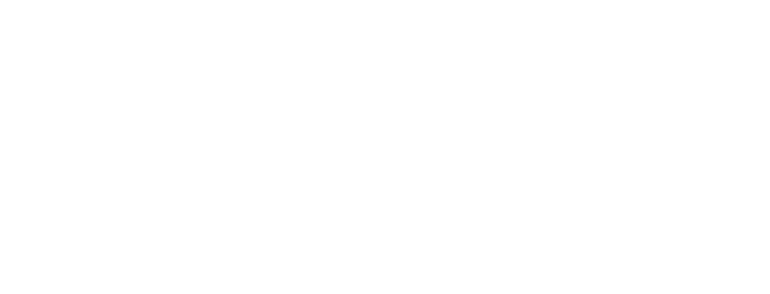 ربط المركز الوطني (NELC)